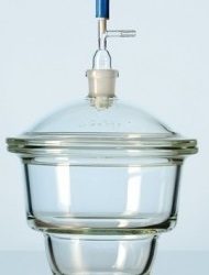 DESICCATORS WITH VACUUM LID (GLASS) (LGW067)