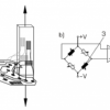 Strain gauge training system (FL 100) - Image 3